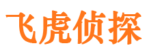 梅江市婚姻调查